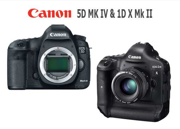 Canon 5D MK IV & 1D X Mk II