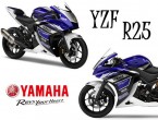 Yamaha YZF R25