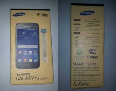 Samsung Galaxy S Duos 3 (1)
