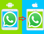 cara copy WhatsApp android ke iPhone